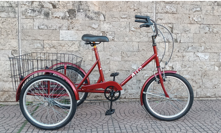 Portatutto - Bicicleta 3 Ruedas
